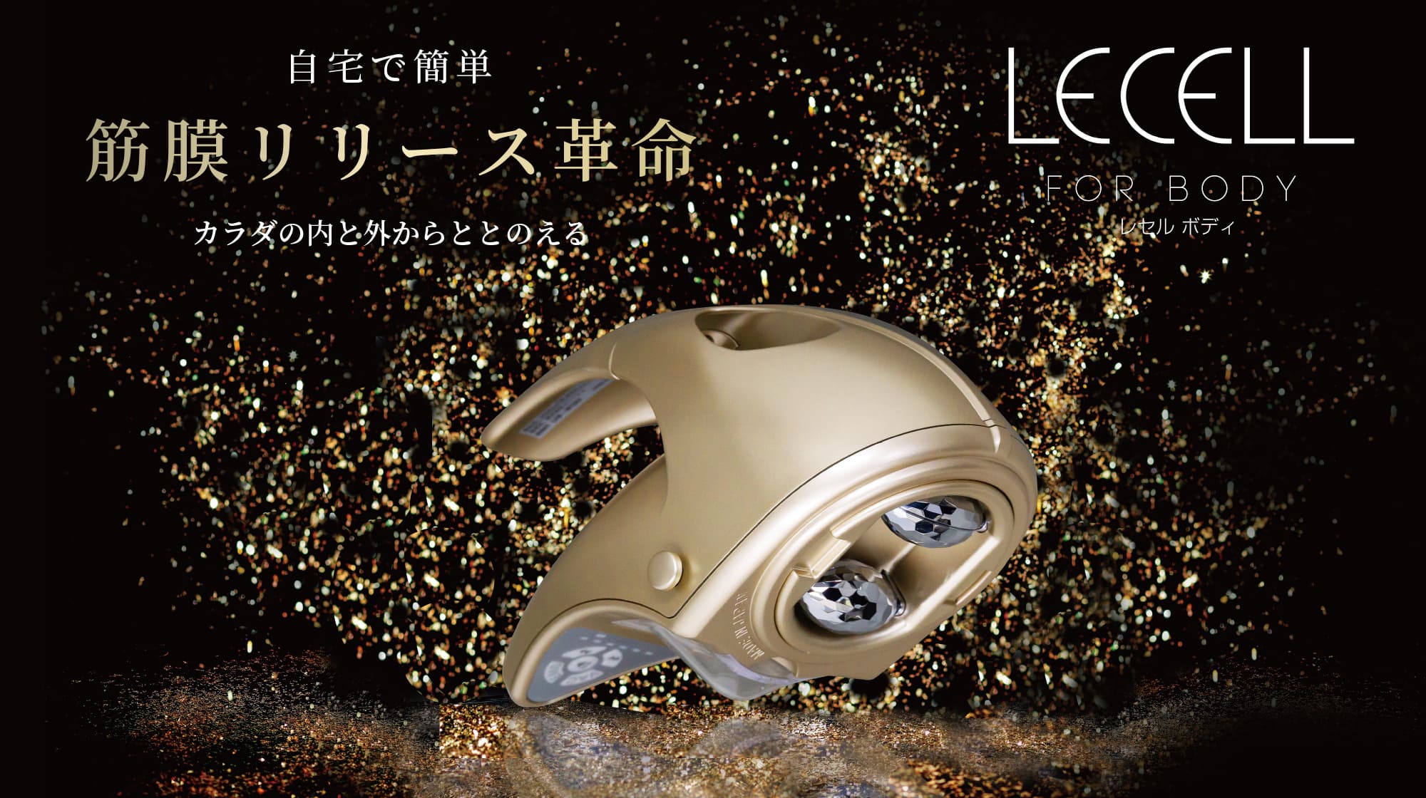 レセルボディ